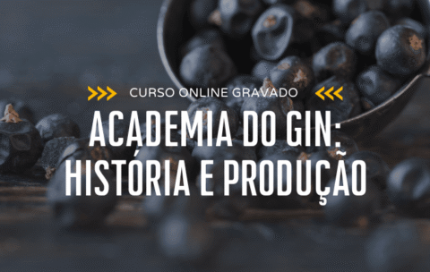 Academia do Gin: História e Produção