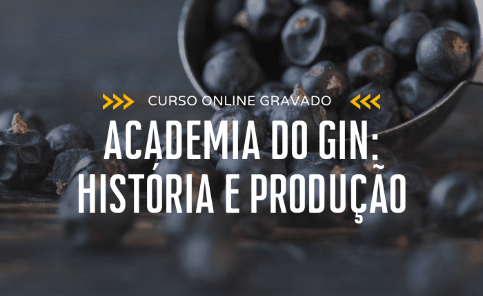Academia do Gin: História e Produção