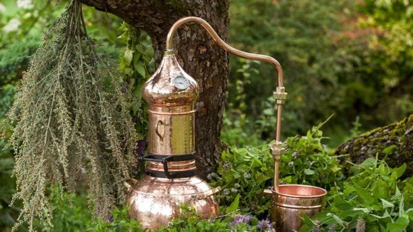 Técnicas De Produção De Gin