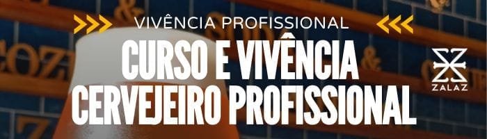 Curso E Vivência Cervejeiro Profissional