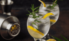 gintonica