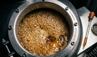 Bioquímica da Fermentação: Dinâmica e Gestão de Leveduras