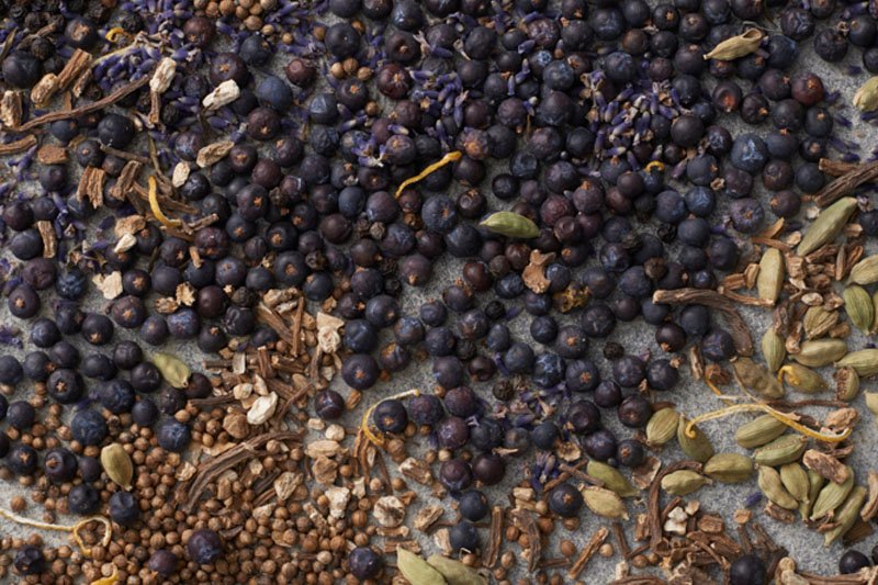 Produção de Gin: Da Ciência da Extração ao Design de Receitas