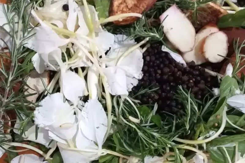 Produção de Licores e Amaros: Da Ciência da Extração à Estabilidade do Produto
